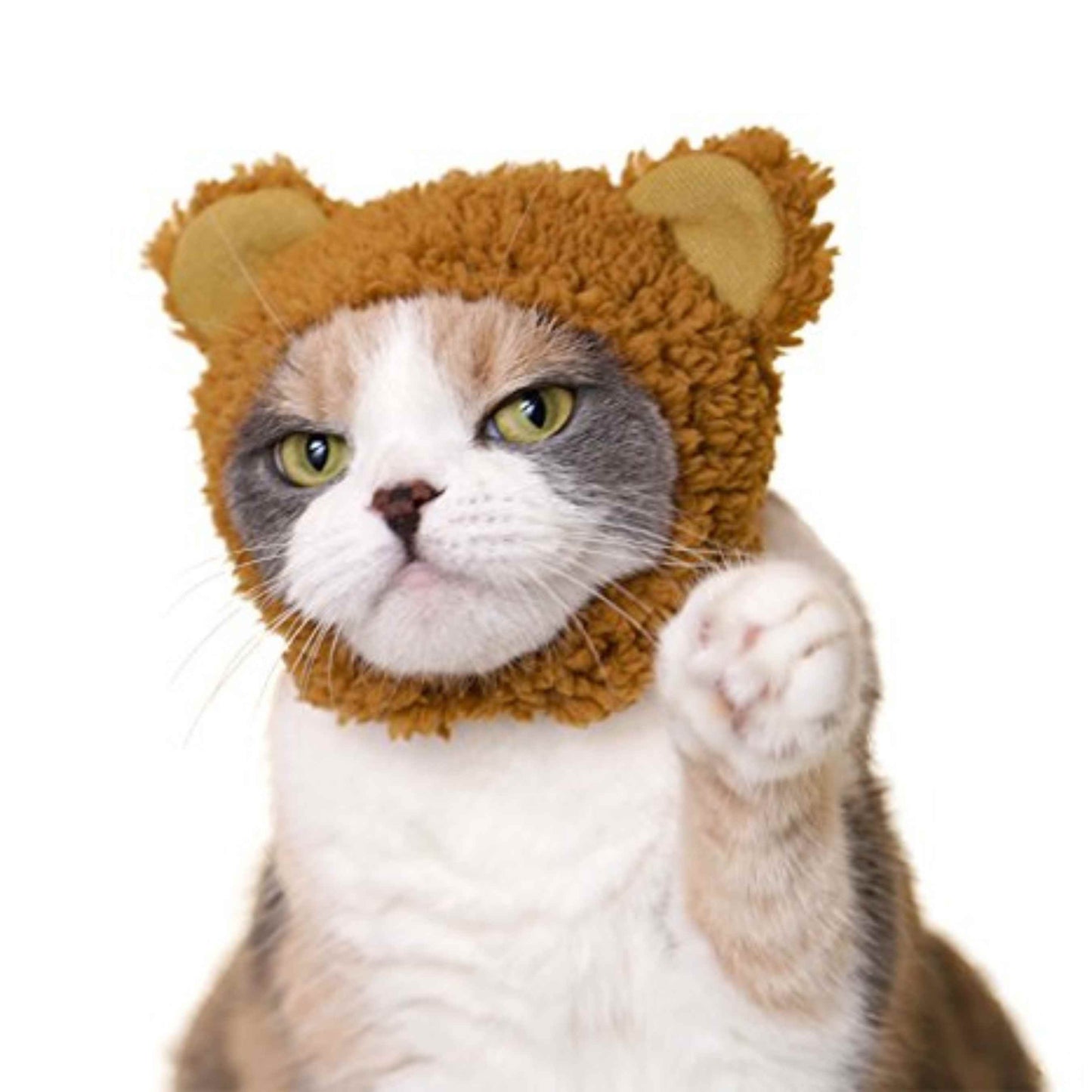 Cat Cap Bear Ear Blind Box Random Style