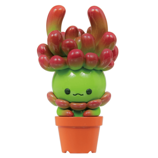 Succulent Friends Blind Box