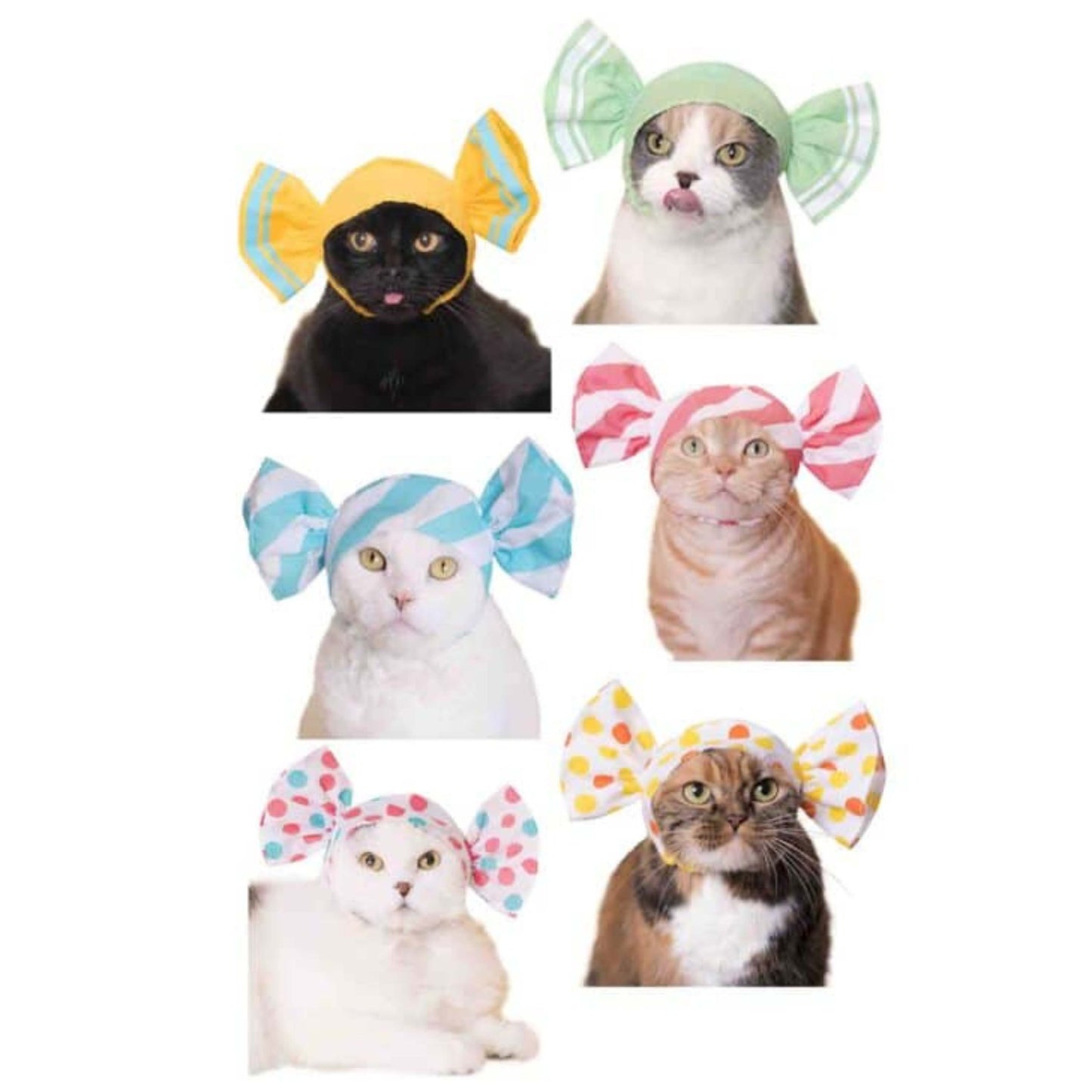 Cat Cap Candy Series Blind Box