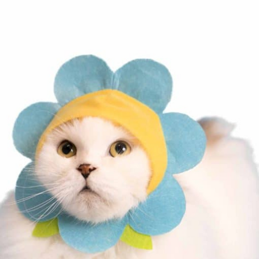Cat Cap Flower Blind Box Random Style