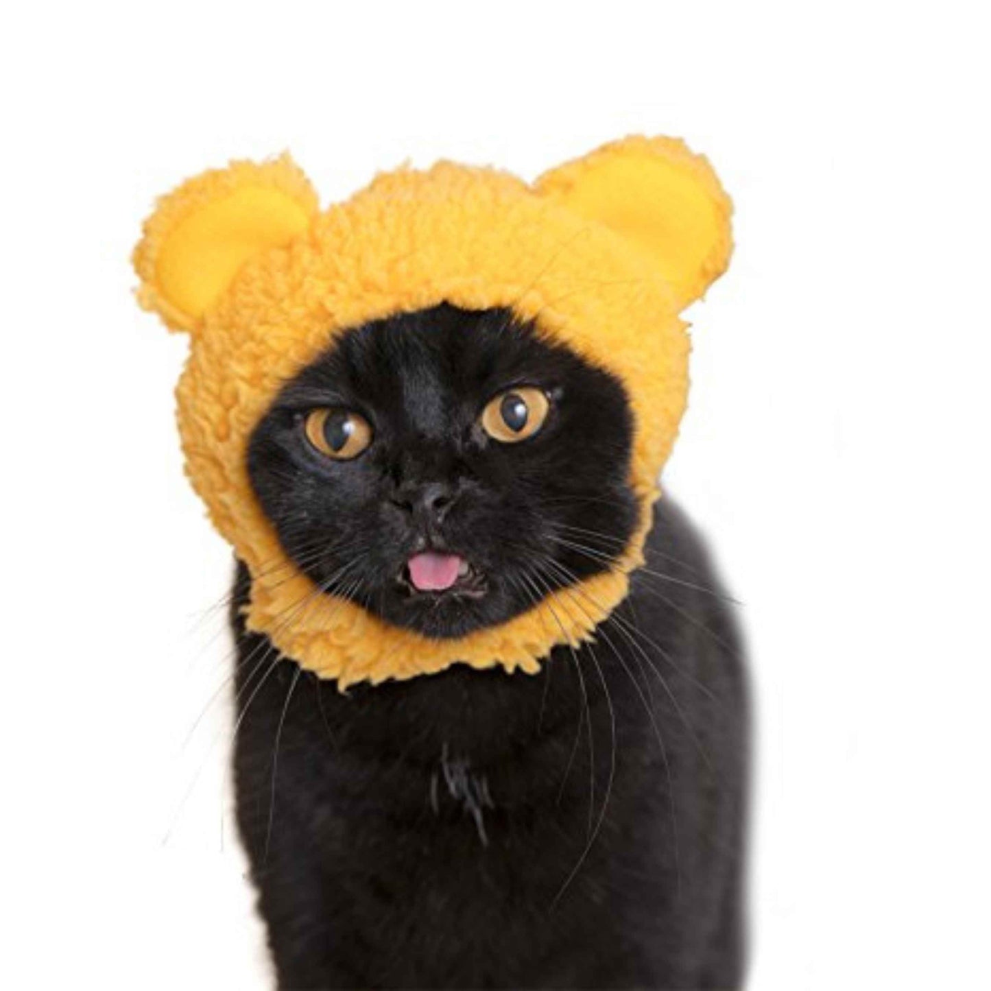 Cat Cap Bear Ear Blind Box Random Style