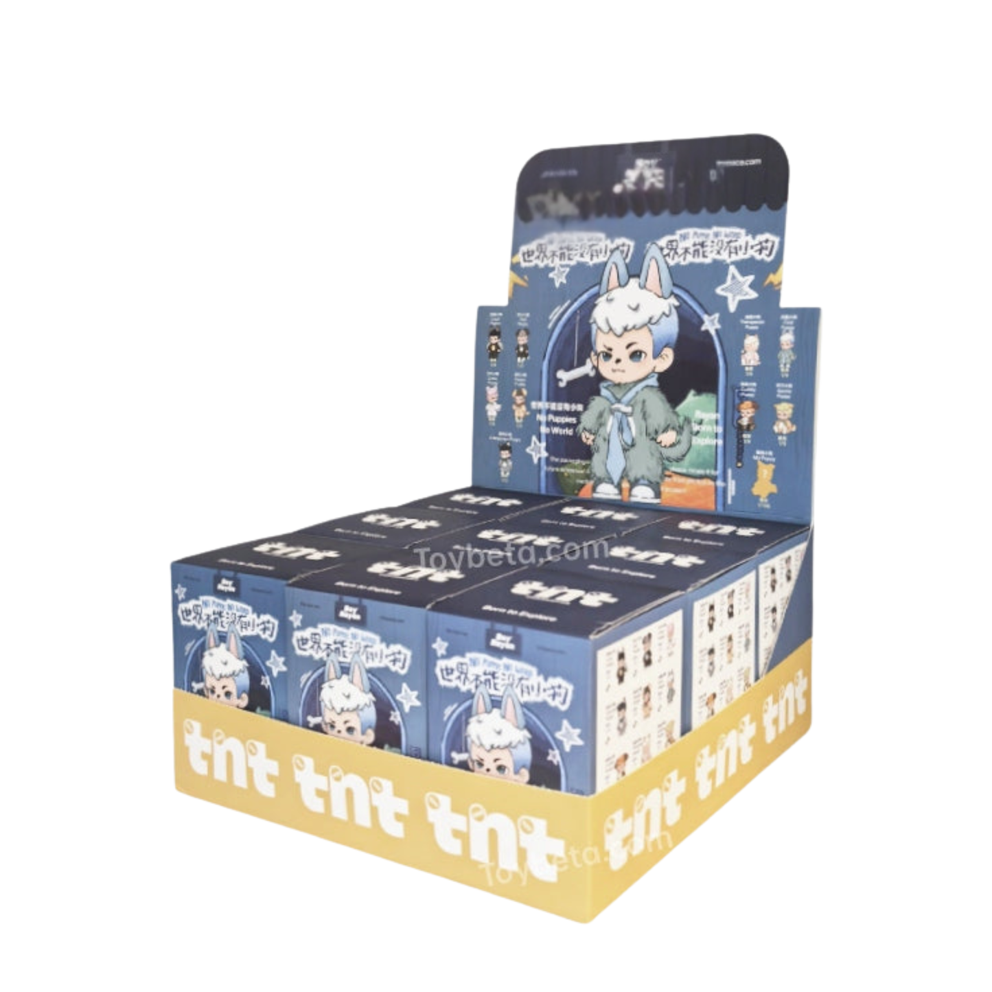 Boy Rayan No Puppy No World Series Blind Box