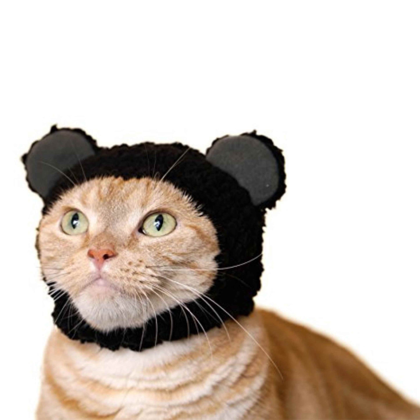 Cat Cap Bear Ear Blind Box Random Style