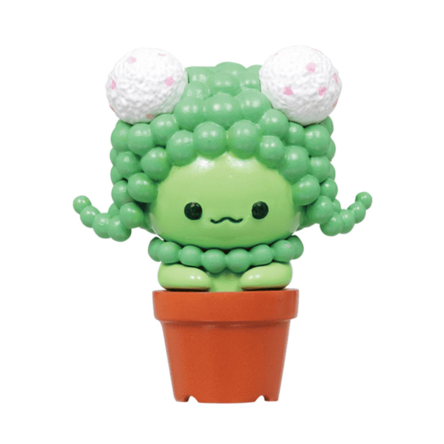 Succulent Friends Blind Box