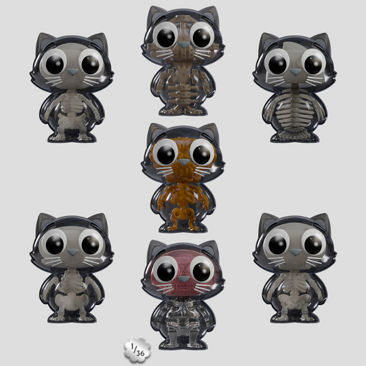 Kaleidos Creative Catscans (Bare Bones) Blind Box