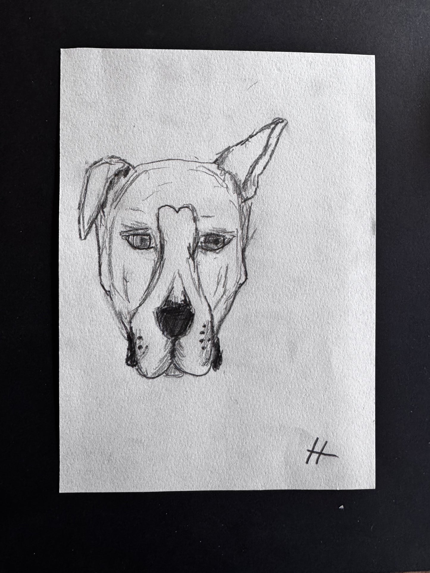 Hudson Lunsford - "Dog Face"