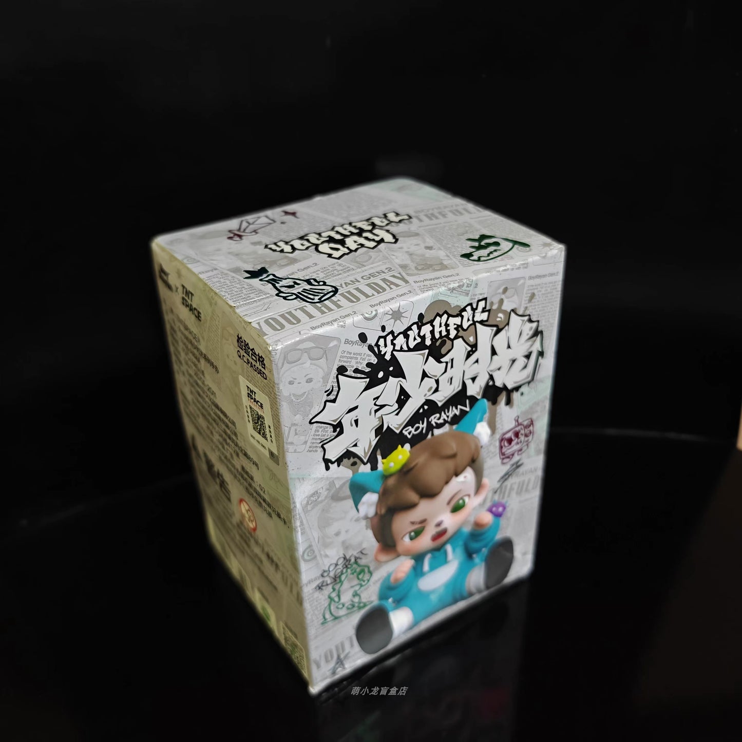 TNTSPACE Boy Rayan Youth Days Series 2 Blind Box