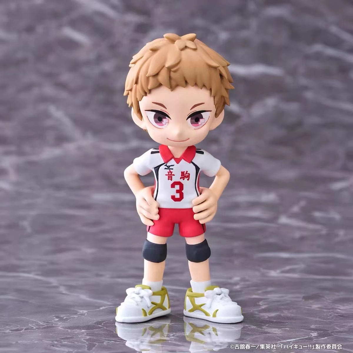 Bushiroad PalVerse Haikyuu!! Series Blind Box