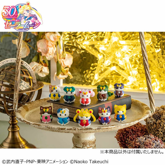 Bandai Megahouse: Pretty Guardian Sailor Moon Vol 2. Mega Cat Project Blind Box Figure