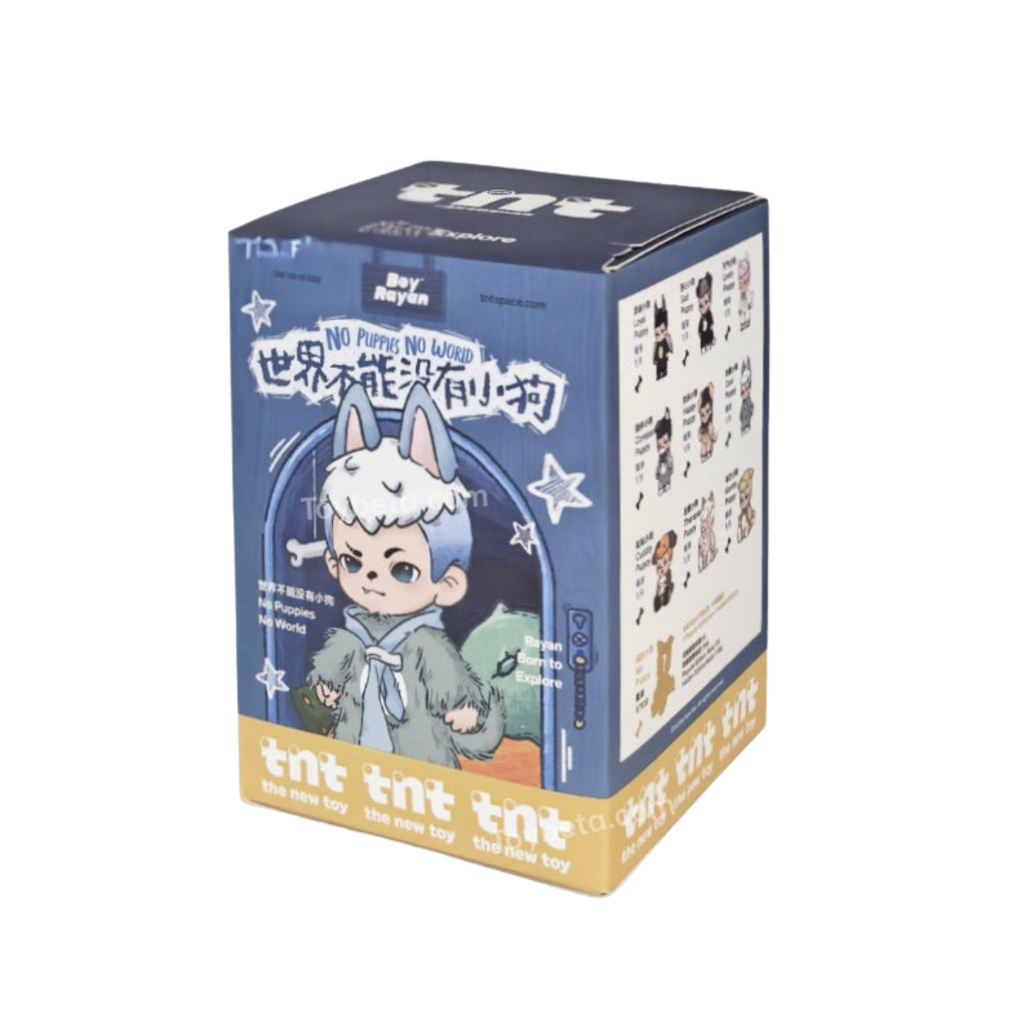 Boy Rayan No Puppy No World Series Blind Box