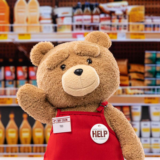 【New】Pop Mart Ted2-ted Action Plush Figure