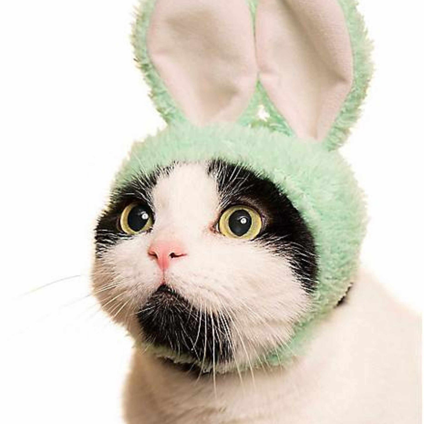 Cat Cap Rabbit Ear Blind Box Random Style