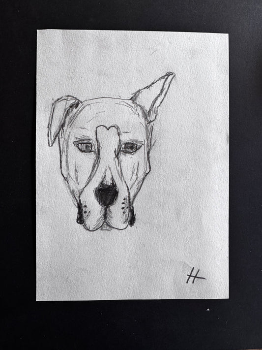 Hudson Lunsford - "Dog Face"