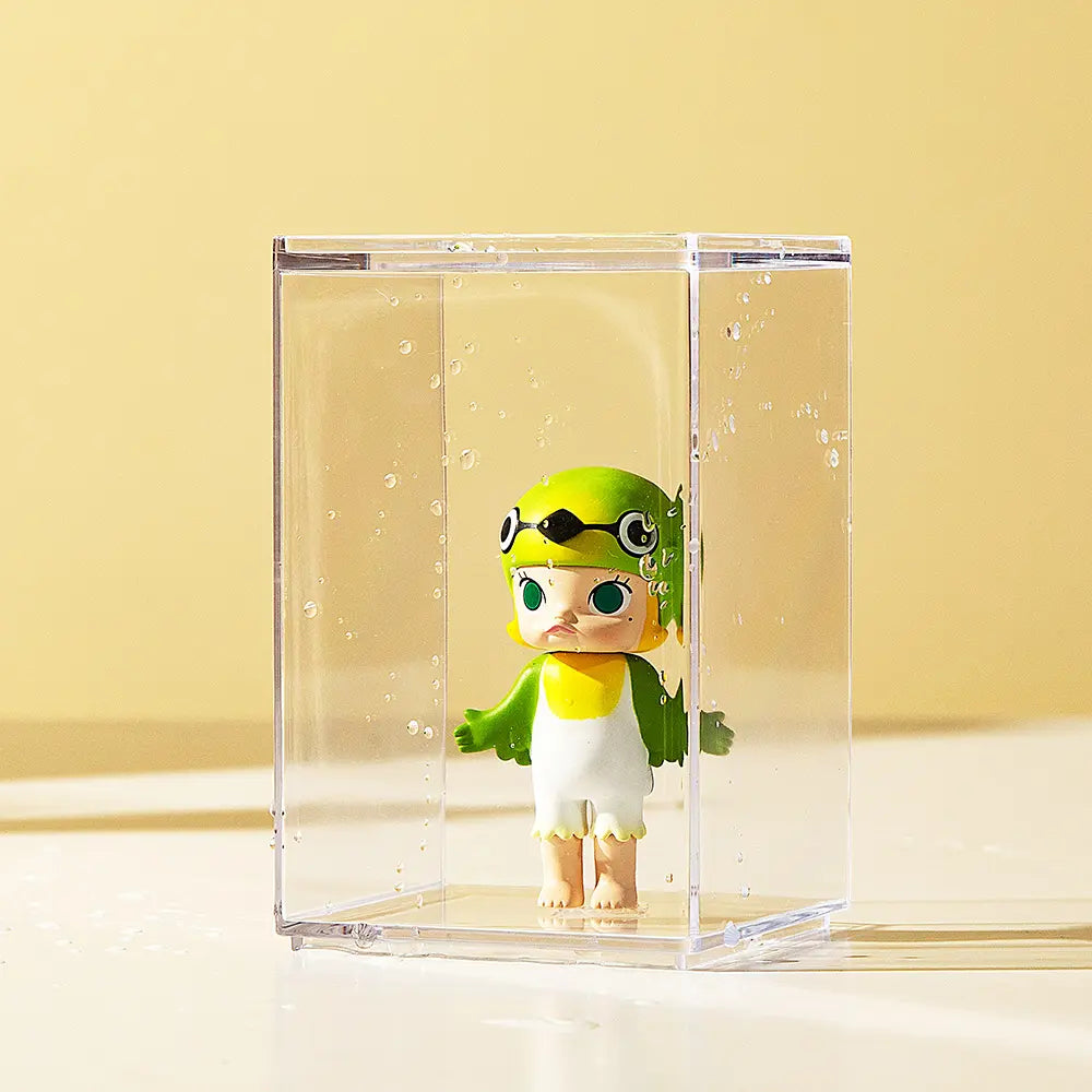 Transparent Individual Display Case with Card Holder