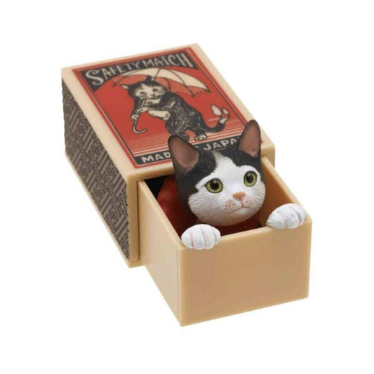 Cat Peek: Matchbox Series Blind Box Random Style
